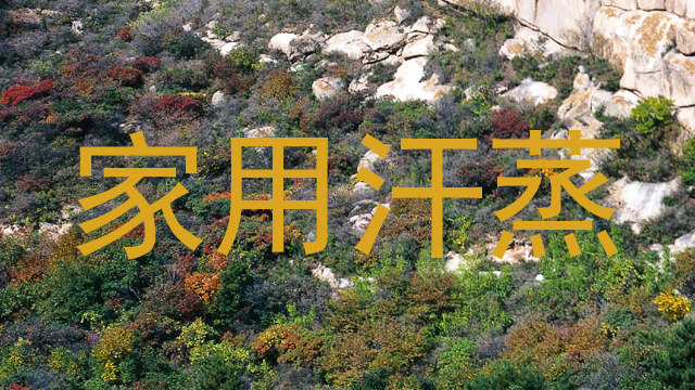 家用汗蒸