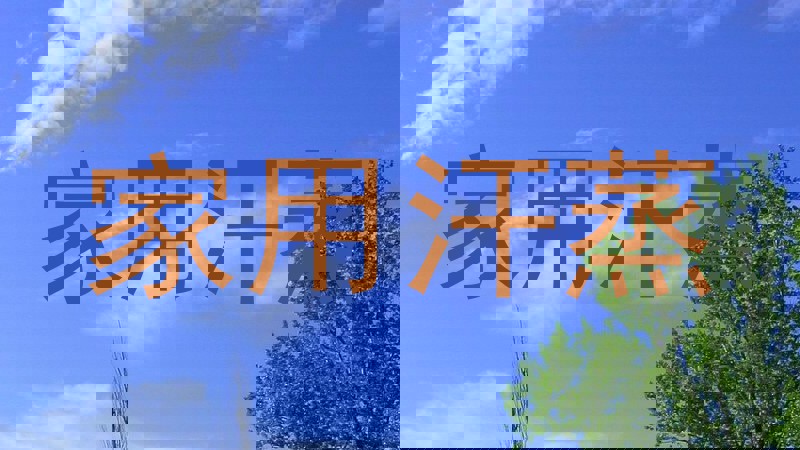 家用汗蒸