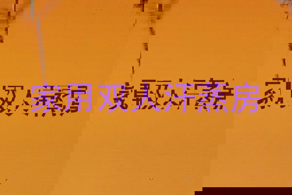 家用双人汗蒸房