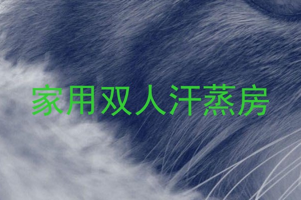 家用双人汗蒸房