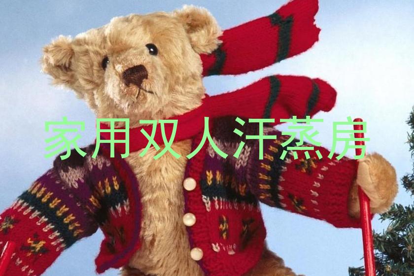 家用双人汗蒸房