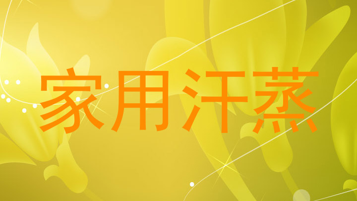 家用汗蒸