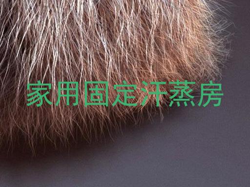 家用固定汗蒸房