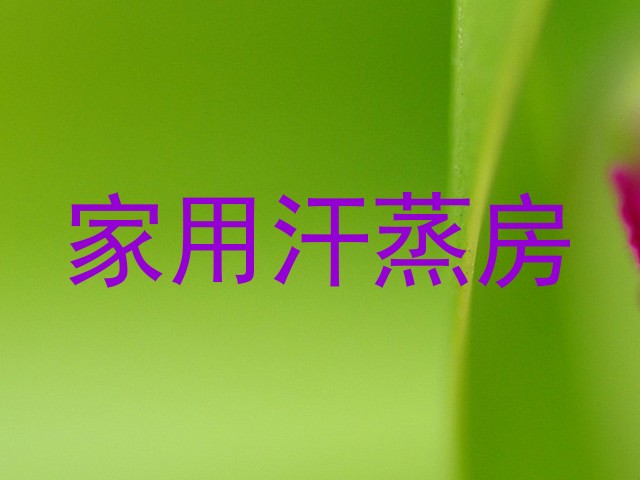 家用汗蒸房