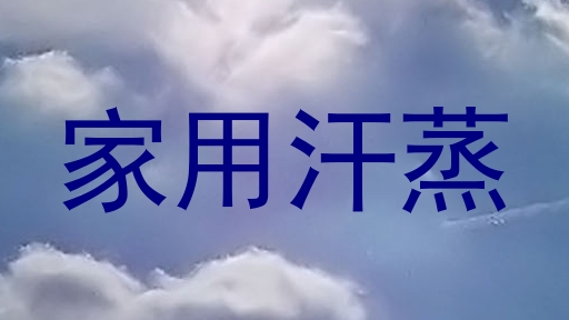 家用汗蒸