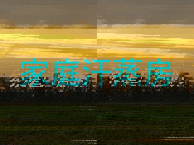 家庭汗蒸房