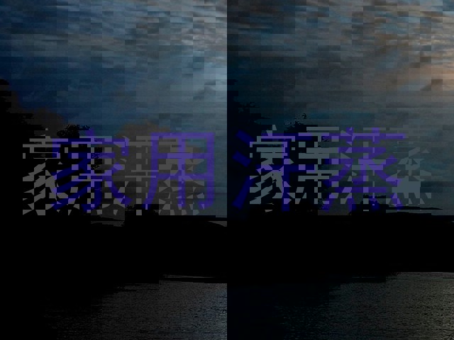 家用汗蒸