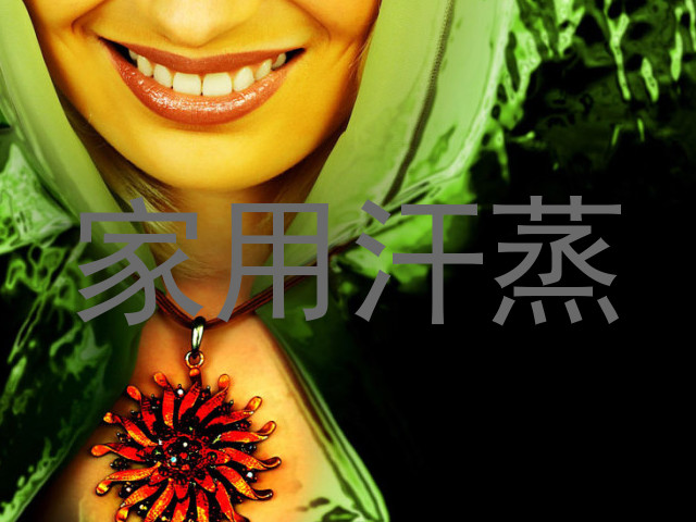 家用汗蒸