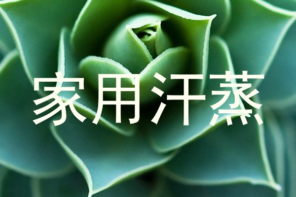 家用汗蒸