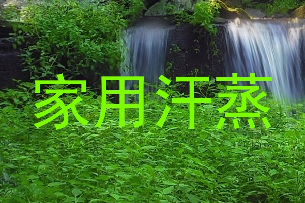 家用汗蒸