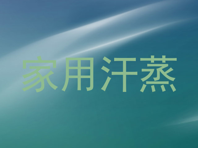 家用汗蒸