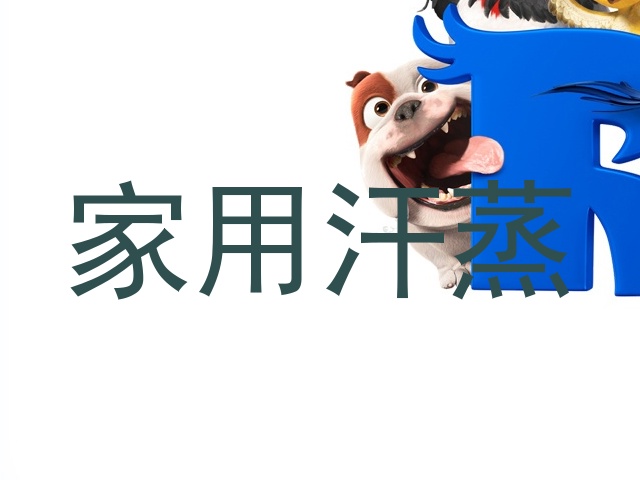 家用汗蒸