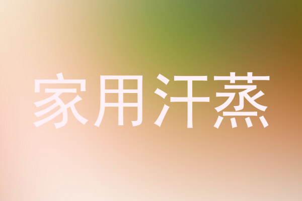 家用汗蒸