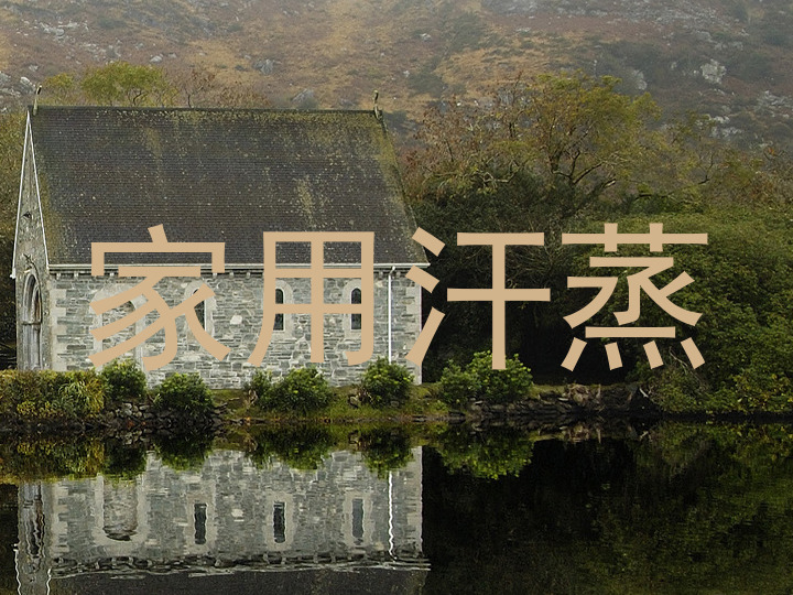 家用汗蒸