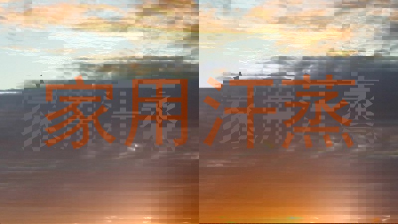 家用汗蒸