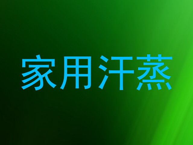 家用汗蒸