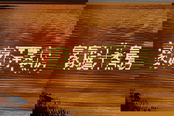 家庭汗蒸房