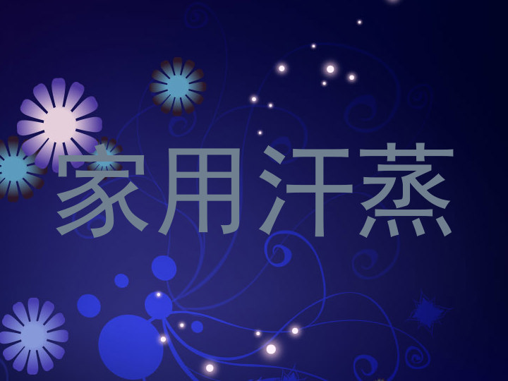 家用汗蒸