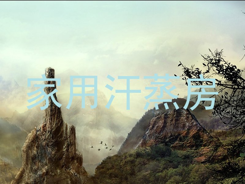 家用汗蒸房