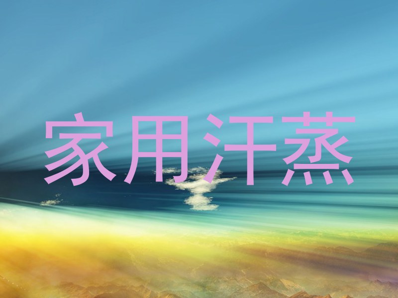 家用汗蒸