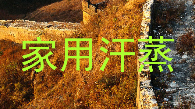 家用汗蒸