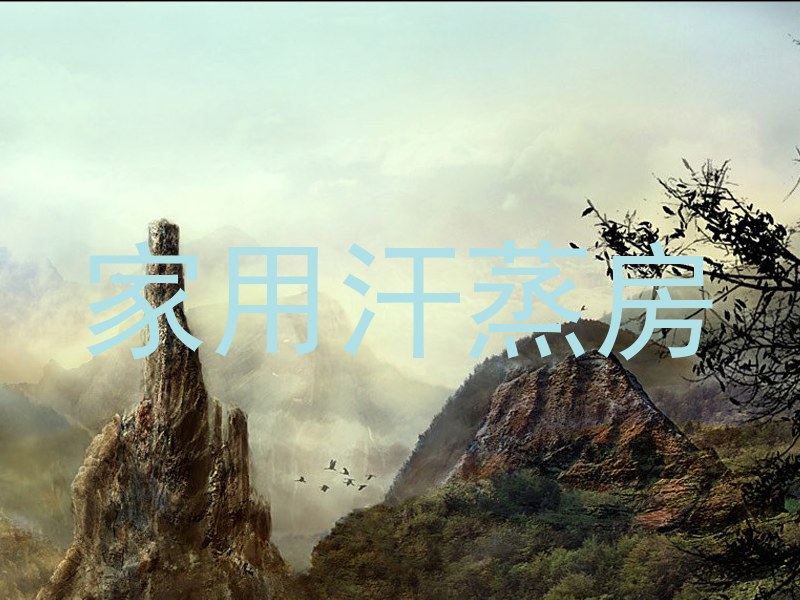 家用汗蒸房