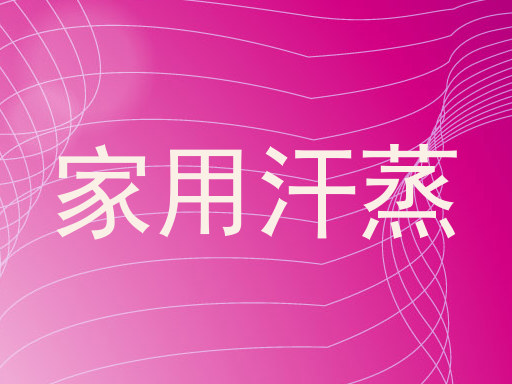 家用汗蒸