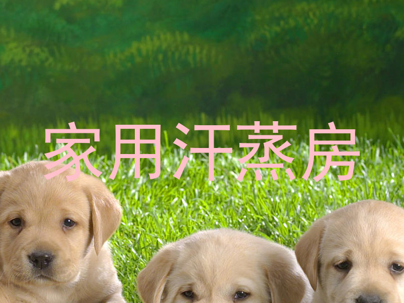 家用汗蒸房