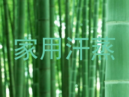 家用汗蒸