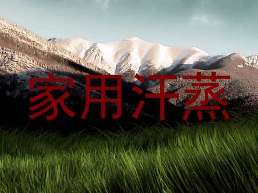 家用汗蒸