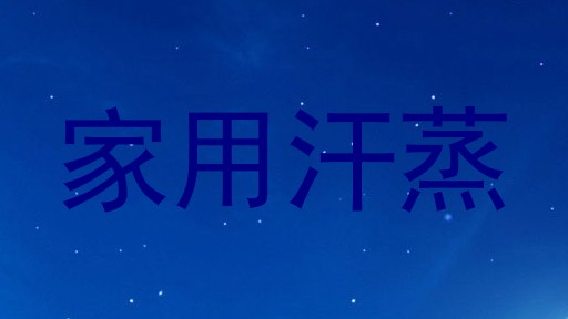 家用汗蒸