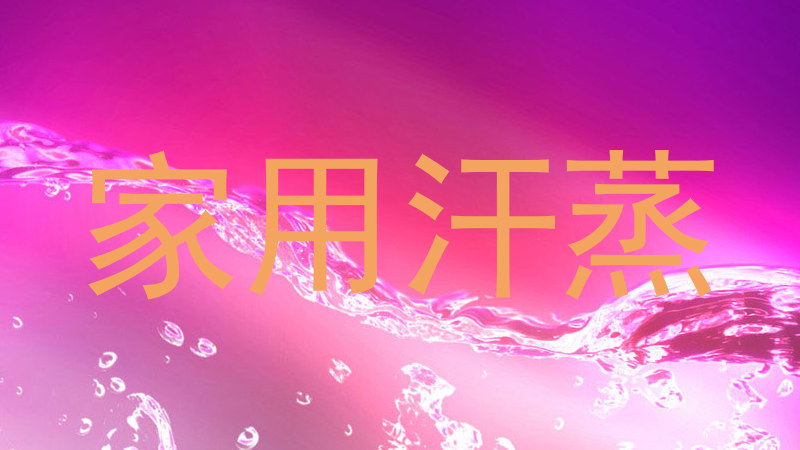 家用汗蒸