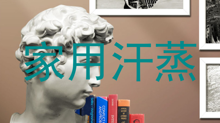 家用汗蒸