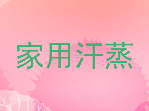 家用汗蒸