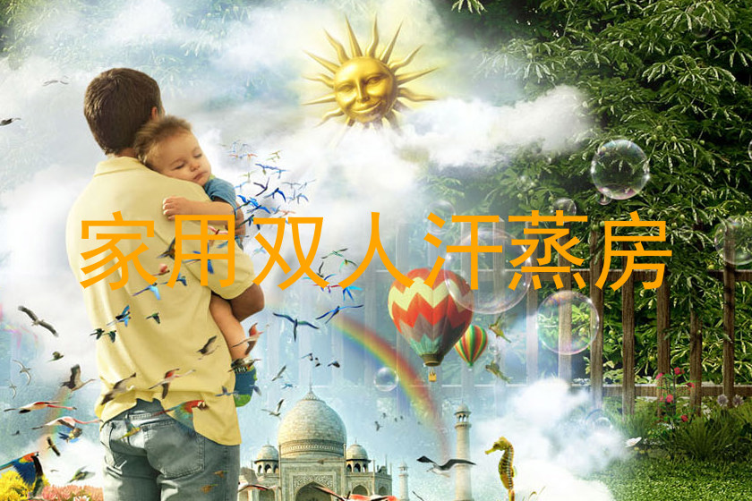 家用双人汗蒸房