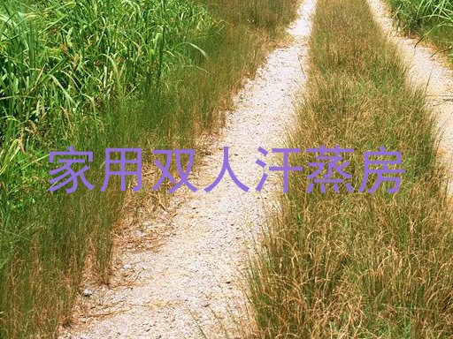 家用双人汗蒸房