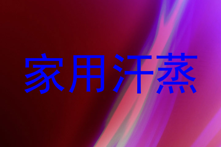 家用汗蒸