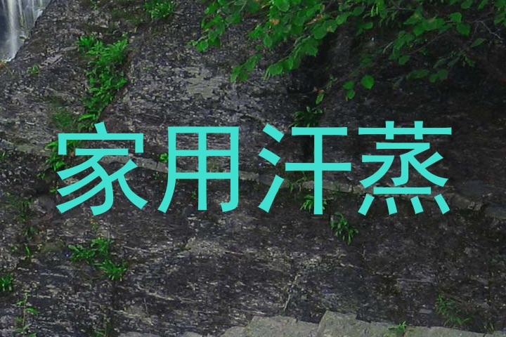 家用汗蒸