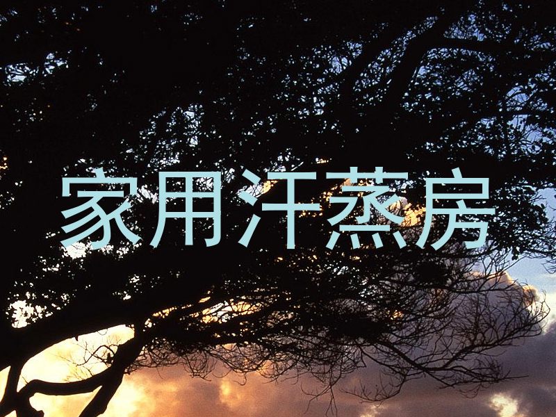 家用汗蒸房