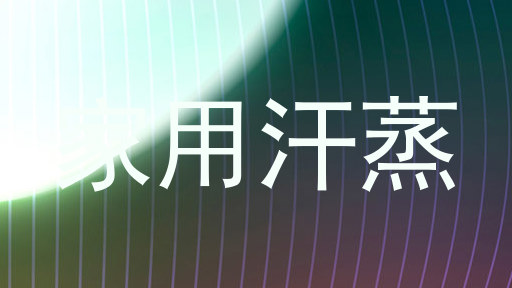 家用汗蒸