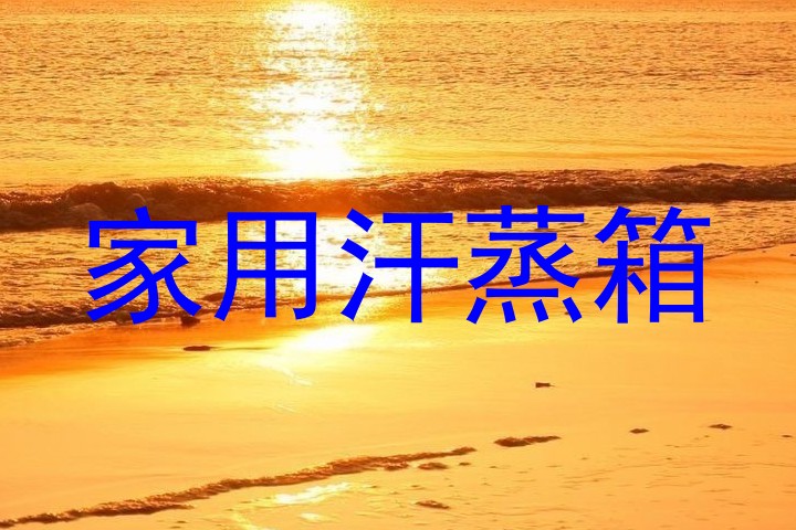 家用汗蒸箱