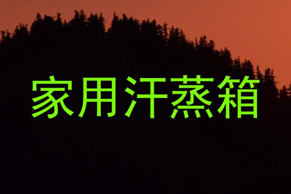 家用汗蒸箱