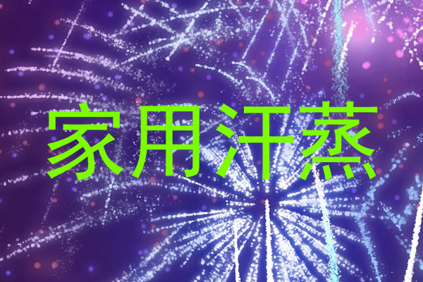 家用汗蒸