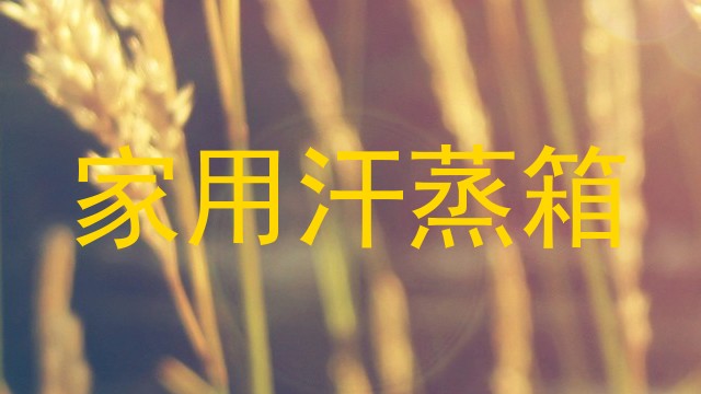 家用汗蒸箱