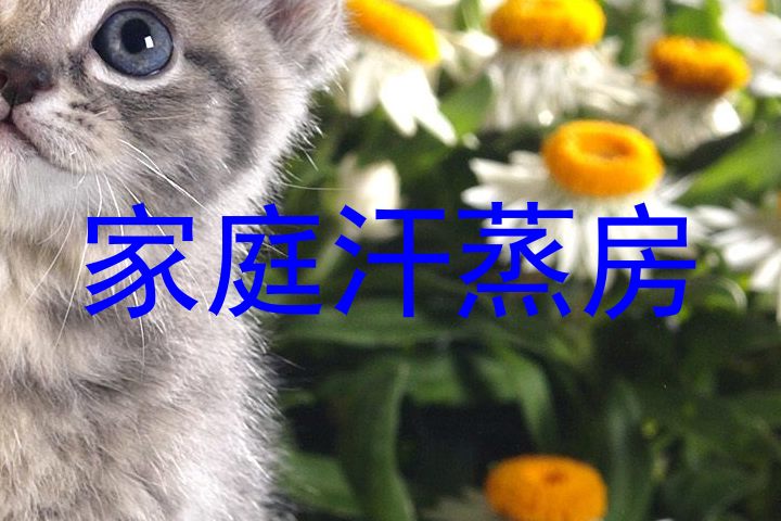 家庭汗蒸房