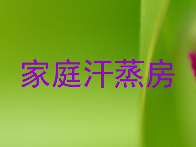 家庭汗蒸房