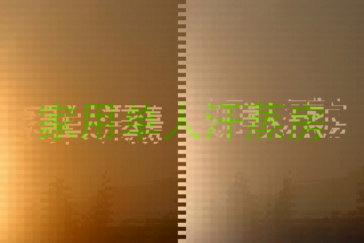 家用单人汗蒸房