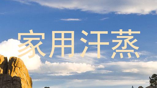家用汗蒸