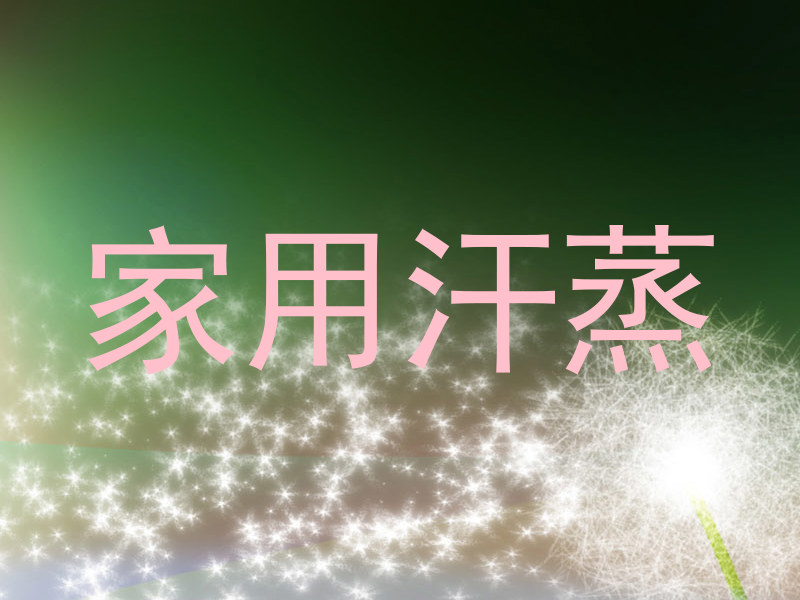 家用汗蒸