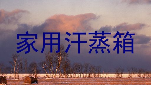 家用汗蒸箱